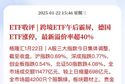 ayx-LDO遭遇大幅下滑超30.94%，投资者恐慌性抛售，震惊市场