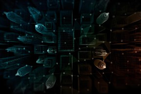 爱游戏体育-SOL官方面向外界公布与17.18携手，开启元宇宙新纪元！，投资者瞩目