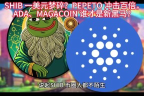 ayx-专家称SHIB将在年底冲破311美元，引发引发关注